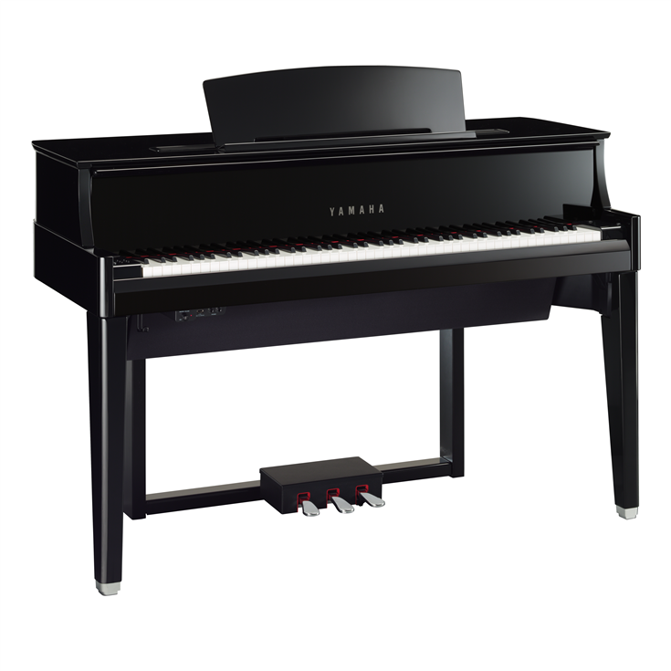 N1X Grand Piano Hybrid - Ebony Polish